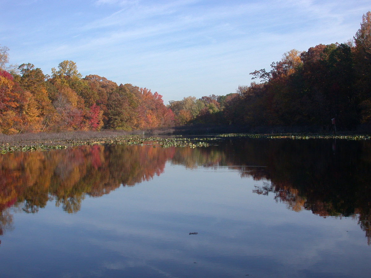 Water filtration in Tenafly, NJ